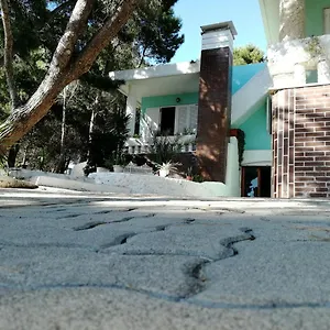 Florida , Porto Pino Italia
